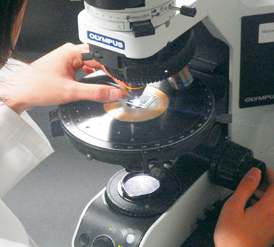 世界基準の分析・管理